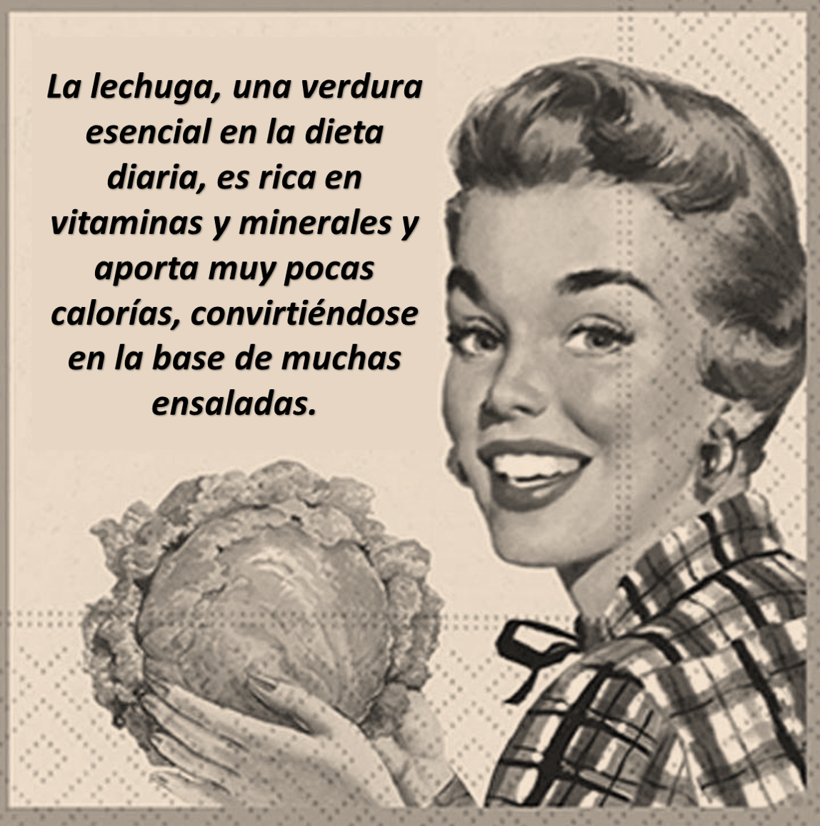 La lechuga, verdura esencial